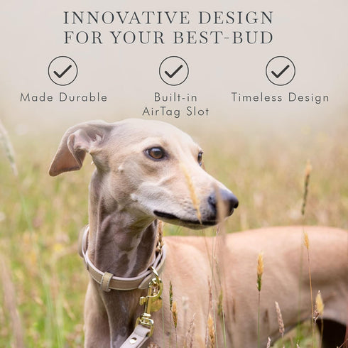 Cupertino Dog Collars, Harnesses & Leashes, Adjustable Dog Collar Made from Vegan Leather with Dog Tracker Device