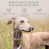 Cupertino Dog Collars, Harnesses & Leashes, Adjustable Dog Collar Made from Vegan Leather with Dog Tracker Device