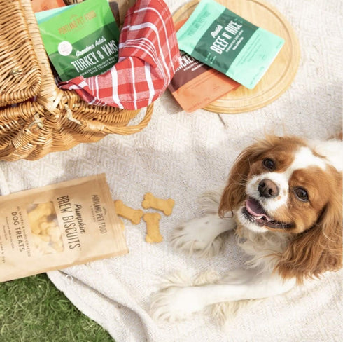 CRAFTED BY HUMANS LOVED BY DOGS Beef Broth Brew Biscuit Dog Treats - 5 oz Bag