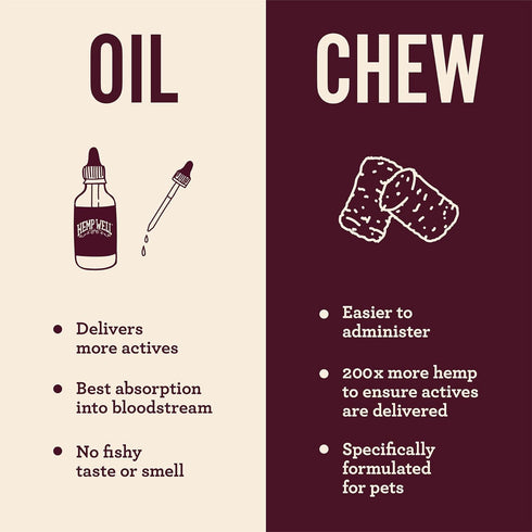3 6 Immune 2 oz Hemp Well Thrive Oil for Dogs & Cats, Organic Hemp Oil, Omega & Supplement for Skin & Coat, Hip
