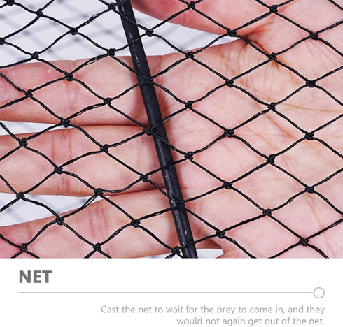 30cm Beaupretty Foldable Crawfish Trap Shrimp and Crab Fishing Net Diameter with Spring Frame for Outdoor Minnow