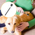 Dog Eye Comb, Cuteabc Tear Stain Comb for Small Dogs, Double-Headed Combs for Removing Crust and Mucus