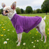 French Bulldog Dog Shirt, Breathable Stretchy T-Shirts for Pets, Medium Puppy Cat Tee Costumes