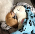 ALL FOR PAWS Puppy Heartbeat Stuffed Animal Toy, Soothing Dog Anxiety Toys, Plush Comfort for Crate Sleep Aid
