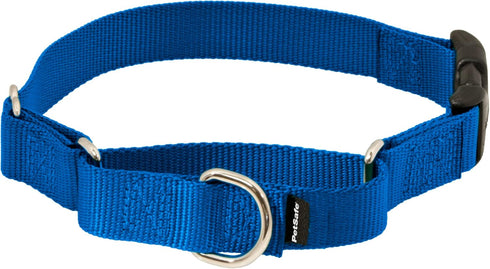 PetSafe Martingale Dog Collar with Quick-Snap Buckle, Medium, 1 Inch, Royal Blue