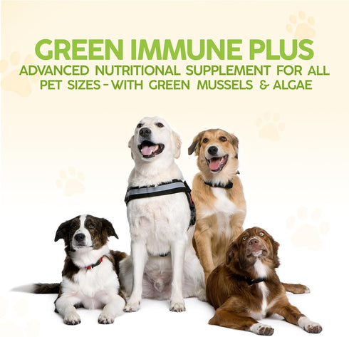 King Kanine Green Inmune Plus Multivitamin and Mineral - 6 oz Organic Powder to Improve Joint Mobility & Allergy Relief