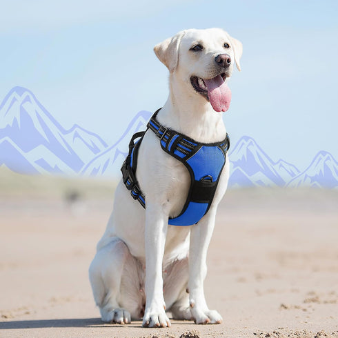 Eagloo Dog Harness for Large Dogs, No Pull Vest with Reflective Strips, Control Handle, Adjustable, Blue, Size L