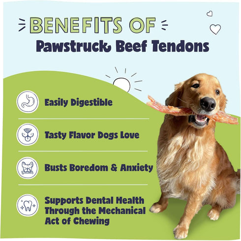 Pawstruck Natural 7-9" Beef Tendon Chew Sticks for Dogs - Premium Rawhide-Free, 10 Count