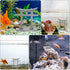 GANAZONO Japanese Shinto Shrine Torii Gate Miniature Ornament for Fish Tank Decoration