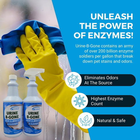 Urine B-Gone Professional Enzyme Odor Eliminator & Pet Stain Remover, 32oz Pack of Two, Effective on Laundry