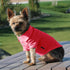 Parisian Pet Dog Polo Shirt, Breathable Cotton, Solid Color Summer Pullover, Pink for Medium Dogs