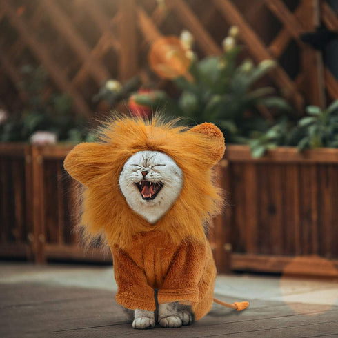 Rypet Dog Lion Costume | Pet Clothes for Halloween Party, Simulation Lion Hoodie for Cats and Dogs
