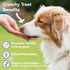 Marcy's Pet Kitchen - All Natural Crunchy Pumpkin Biscuit Dog Treats - Vegan, Gluten Free, Healthy Treats