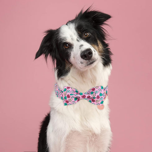Valentine Dog Collar with Bow Tie, Cotton Pink Collar for Puppy Girl Boy Dog or Cat, XS, Neck 8-12in