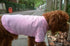 Lovelonglong Pet Clothing - Dog Costumes Basic Blank T-Shirt Tee for Small Dogs, Pink L