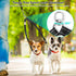 2 Dog Leash, Double Dog Leash Coupler, Tangle Free Bungee Leash, 360° Swivel, Comfortable Shock Absorbing