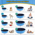 CACSPS 55" 12" Swimming Foldable Dog Pool, x Kiddie Pool with Hard Plastic, Non-Slip Dog Bath Tub for Outdoor Backyard