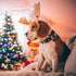 Elegant Christmas Dog Collar, Red Plaid Adjustable Collar for Medium Dogs, Holiday Gift for Pets