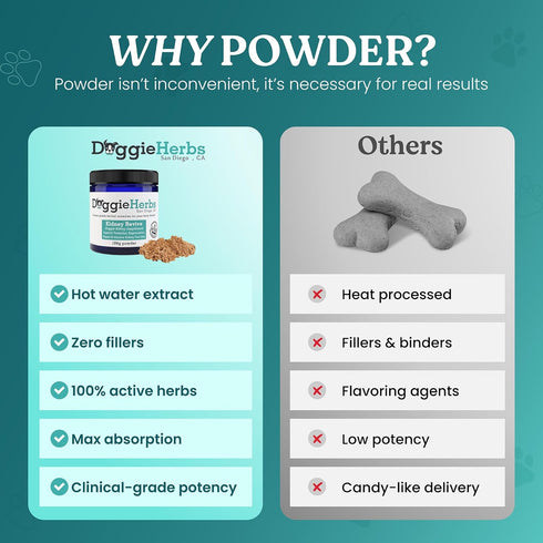 TCM Organic Kidney Support & Renal Health- Rehmannia & Cordyceps Powder- Doctor Formulated Tonic for Bladder Health