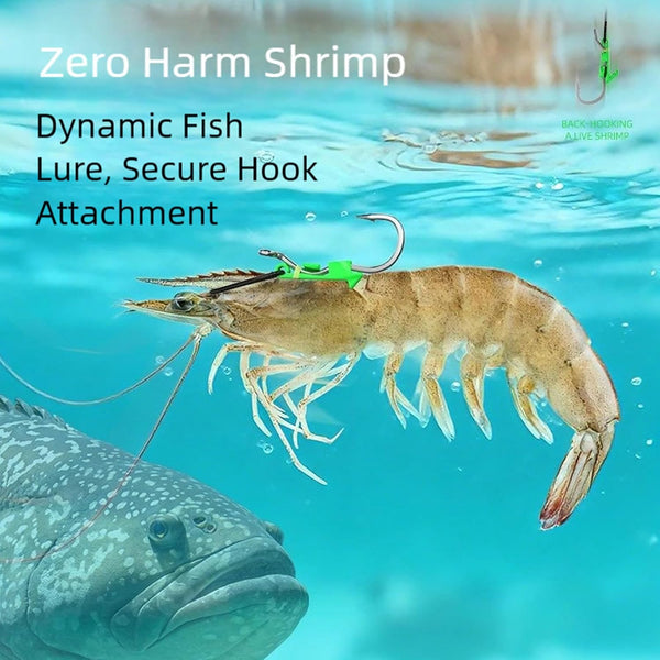 HENRUN Pack 10 of Live Shrimp Hook Engineered to Maintain Shrimp Activity and Enhances Luring Effectiveness for Marine