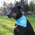 Pavilion Gift Company Big Brother Blue Paw Print Large Dog Slip on Collar Bandanna