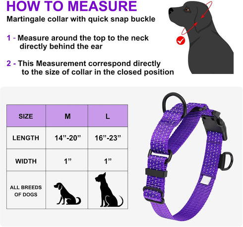 Adjustable Martingale Dog Collars, Reflective Nylon No Pull Choker Collar for Medium Large Dogs (L, Purple)