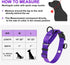Adjustable Martingale Dog Collars, Reflective Nylon No Pull Choker Collar for Medium Large Dogs (L, Purple)