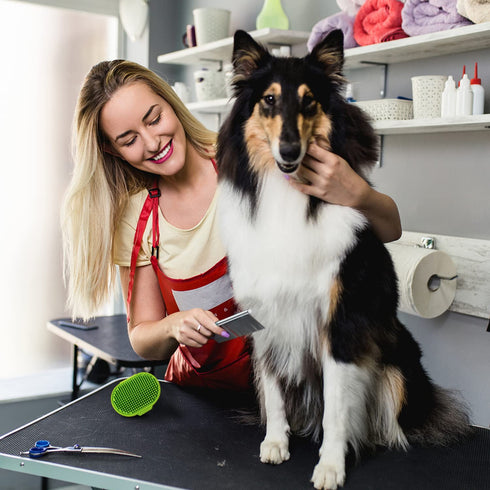Double-Sided Pet Steel Comb, Stainless Steel Dog Comb in 2 Sizes for Cleaning, Massage, and Grooming