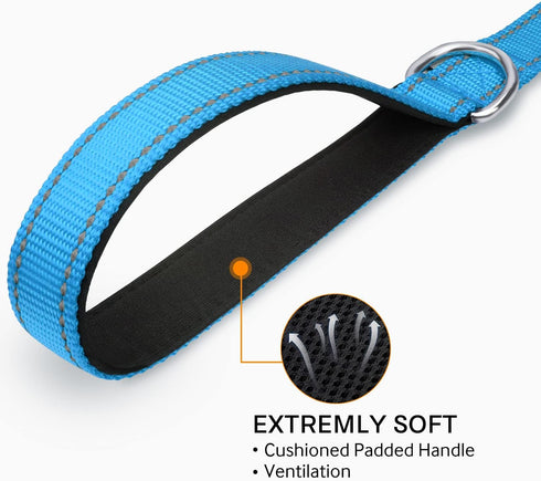 Joytale Double-Sided Reflective Dog Leash, 6 FT/5 FT/4 FT, Padded Handle for Medium & Large Dogs, Sky Blue
