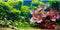 AWERT 30x12 inches Aquatic Plant Background, River Bed & Lake Fish Tank Vinyl