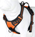 Soft Front Dog Harness, Best Reflective No Pull Harness with Handle and 2 Leash Attachments in Orange