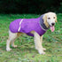 QBLEEV Warm Dog Coat Reflective Jacket, Waterproof Winter Coat for Cold Weather, Thick Fleece Snowsuit for Dogs