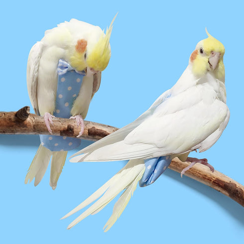 80 Inch 80-105 VANFAVORI Bird Diaper Harness Flight Suit Clothes with Flying Leash Rope for Parrots Conure Cockatiel