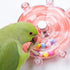 Generic Parrot-Toy Interactive Spinner Rattle Bird-Toys for Parakeet-Cockatiel Bird Cage Accessory Relieves Boredom