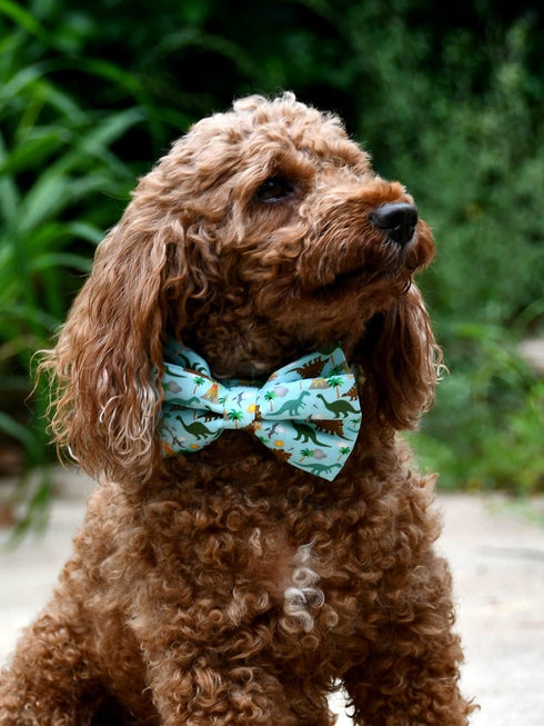 Dinosaur Dog Bow Tie, Detachable Bowtie, Adjustable Collar for Small Medium Large Dogs