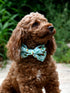 Dinosaur Dog Bow Tie, Detachable Bowtie, Adjustable Collar for Small Medium Large Dogs
