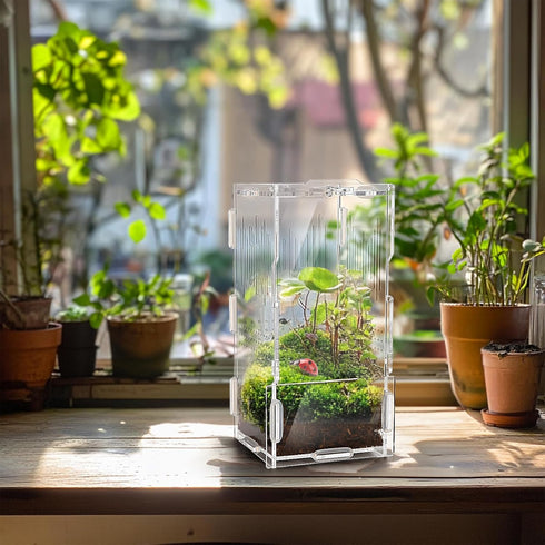 4"x4"x8" Jumping Spider Enclosure, Acrylic Tarantula Tank, Small Reptile Terrarium, Praying Mantis Habitat, Critter