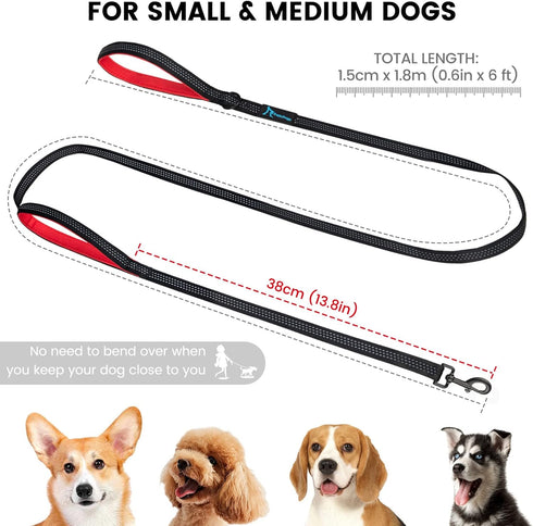 PuppyDoggy Dog Leash for Small to Medium Dogs, 6 ft with 3 Reflective Stitching, 2 Traffic Padded Handles (Purple 1