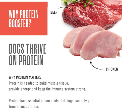 2.1 oz. (12 Count) (Pack 2) Tiki Dog Born Carnivore Protein Booster Dog Food Topper, Chicken and Beef Recipe in Broth