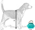 Dog Diggin Designs Runway Pup Collection - Unique Squeaky Parody Plush Dog Toys, Haute Couture