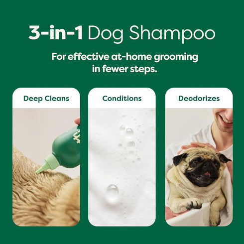 Earth Rated 3-in-1 Coat-Specific Dog & Puppy Shampoo, Conditioner & Deodorizer, 16 oz, White Tea & Basil Scent