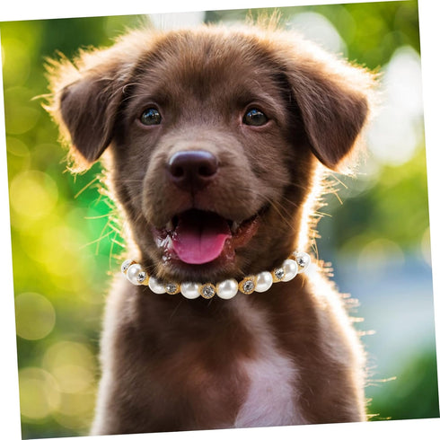 Pet Pearl Collar, Cat Pearl Necklace, Artificial Pearl Collars for Dogs, Crystal Neck Strap for Puppies