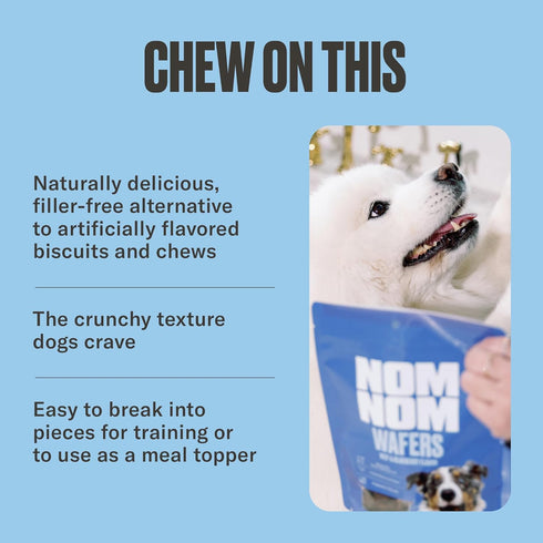 7oz Nom Nom Beef & Blueberry Flavored Treats - Dog Snacks for Training, Rewards, and Mealtime Toppers - No Artificial