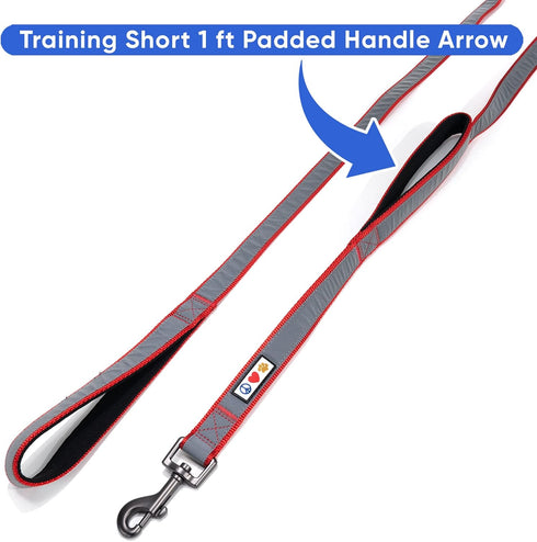 Pawtitas Heavy Duty Double Handle Dog Leash for Medium and Large Dogs, Ideal for Training, Red