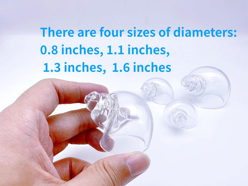 BETENSH 2.0"- 3.0", 0.8"- 1.6", (4pcs 0.8"-1.1"-1.3" -1.6") Large Hermit Crab Transparent Shells Size Opening Size