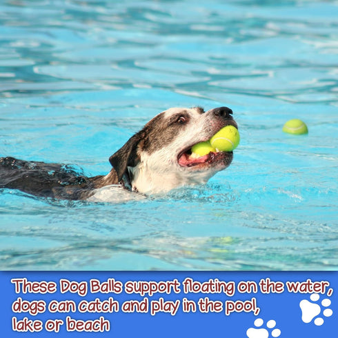 Colorful Squeaky Tennis Balls for Dogs, Easy Catching Pet Dog Balls 12 Pack (2.5inch-6colors)