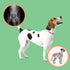 Extend Joint Care for Dogs - Hip and Joint Supplement Powder, Glucosamine for Joint Pain Relief
