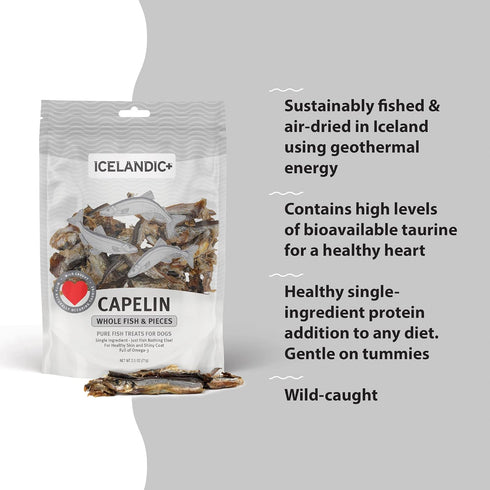 Icelandic+ Plus Capelin Whole Fish & Pieces Dog Treat, 2.5-oz Bag