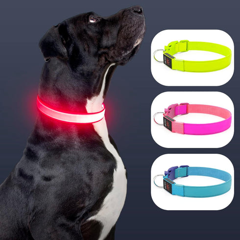 LED Dog Collar Light Up Dog Collars Red Light USB Rechargeable, Adjustable Size Heavy Duty TPU Nylon Webbing Glow Safety Basic Dog Collars for Large Medium Dogs (M,Candy Pink)