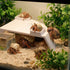 DQITJ 1 Pcs Hermit Crab Cave Habitat Hermit Crab Climbing Toy Tank Accessories (Arc-Shaped Design, White)